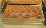 BNM-ZP-200湿膜加湿器，邦纳直排水式湿膜加湿器0.2-0.35㎡